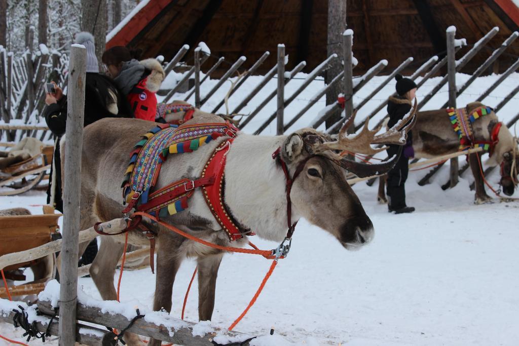 Guesthouse Arctic Heart Rovaniemi Ngoại thất bức ảnh