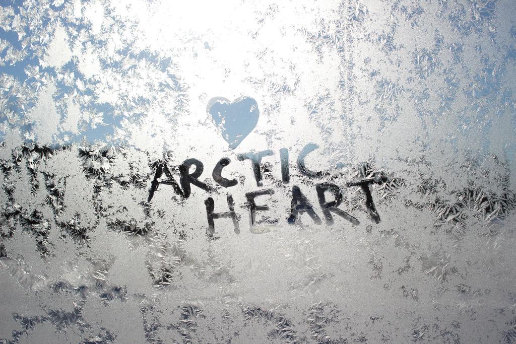 Guesthouse Arctic Heart Rovaniemi Ngoại thất bức ảnh
