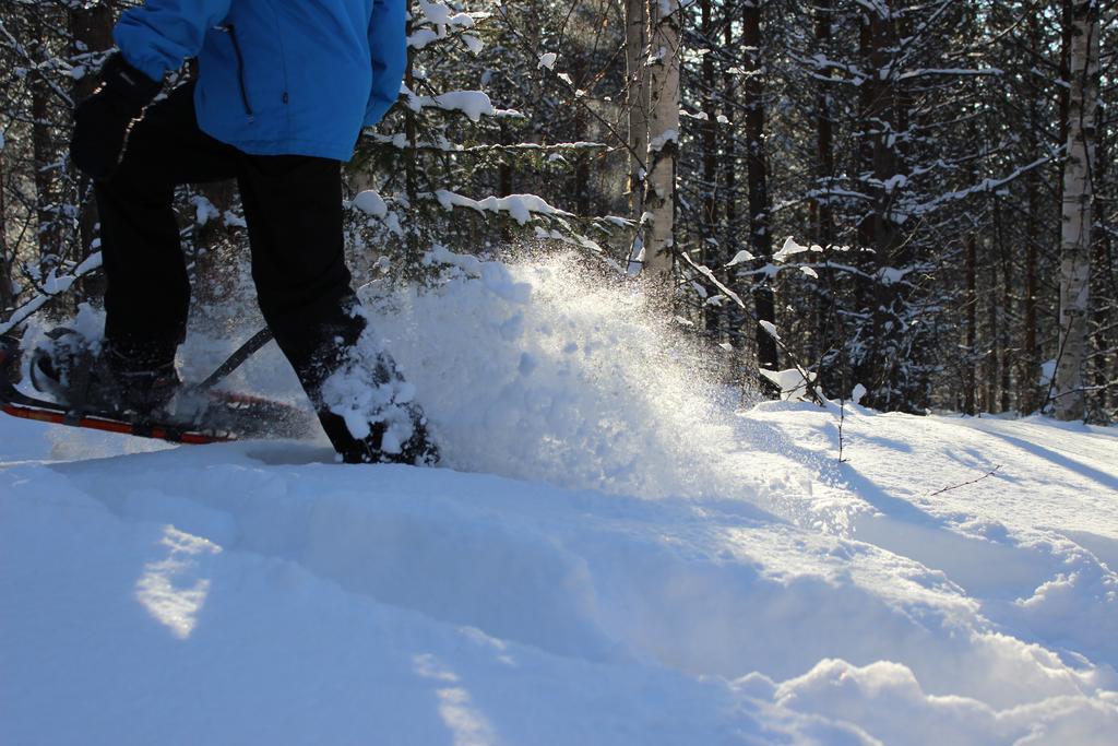Guesthouse Arctic Heart Rovaniemi Ngoại thất bức ảnh