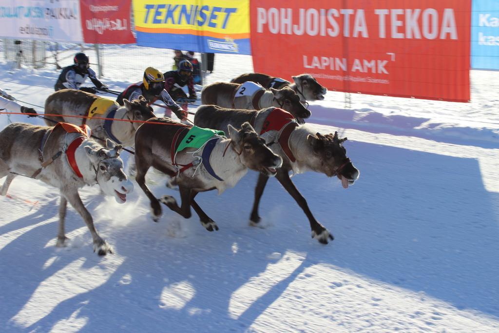 Guesthouse Arctic Heart Rovaniemi Ngoại thất bức ảnh